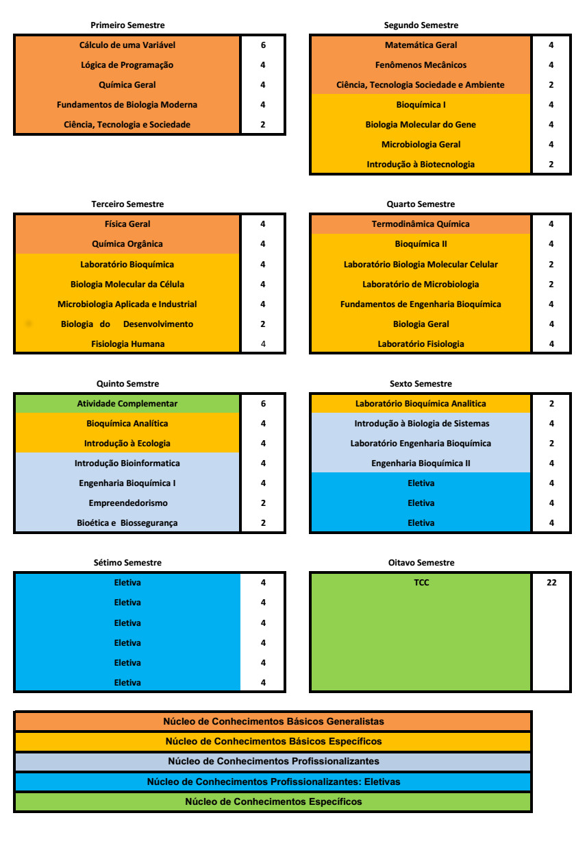 matriz v2