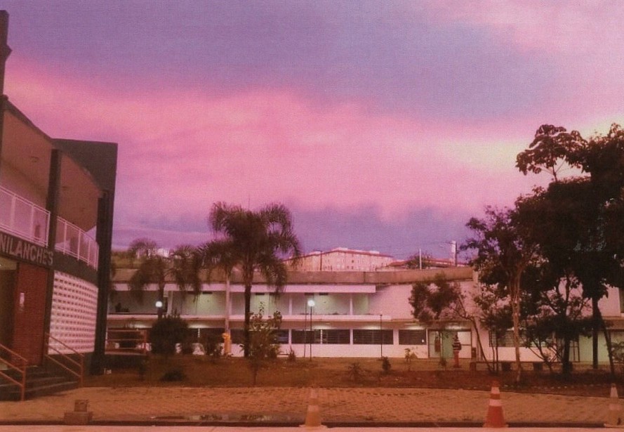 Sem título Lívia de Seixas Torres Corigliano