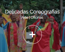 delicadas_coreografias.jpg