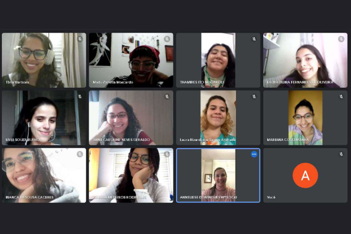 Print screen da tela da reunião virtual do grupo, com doze participantes.