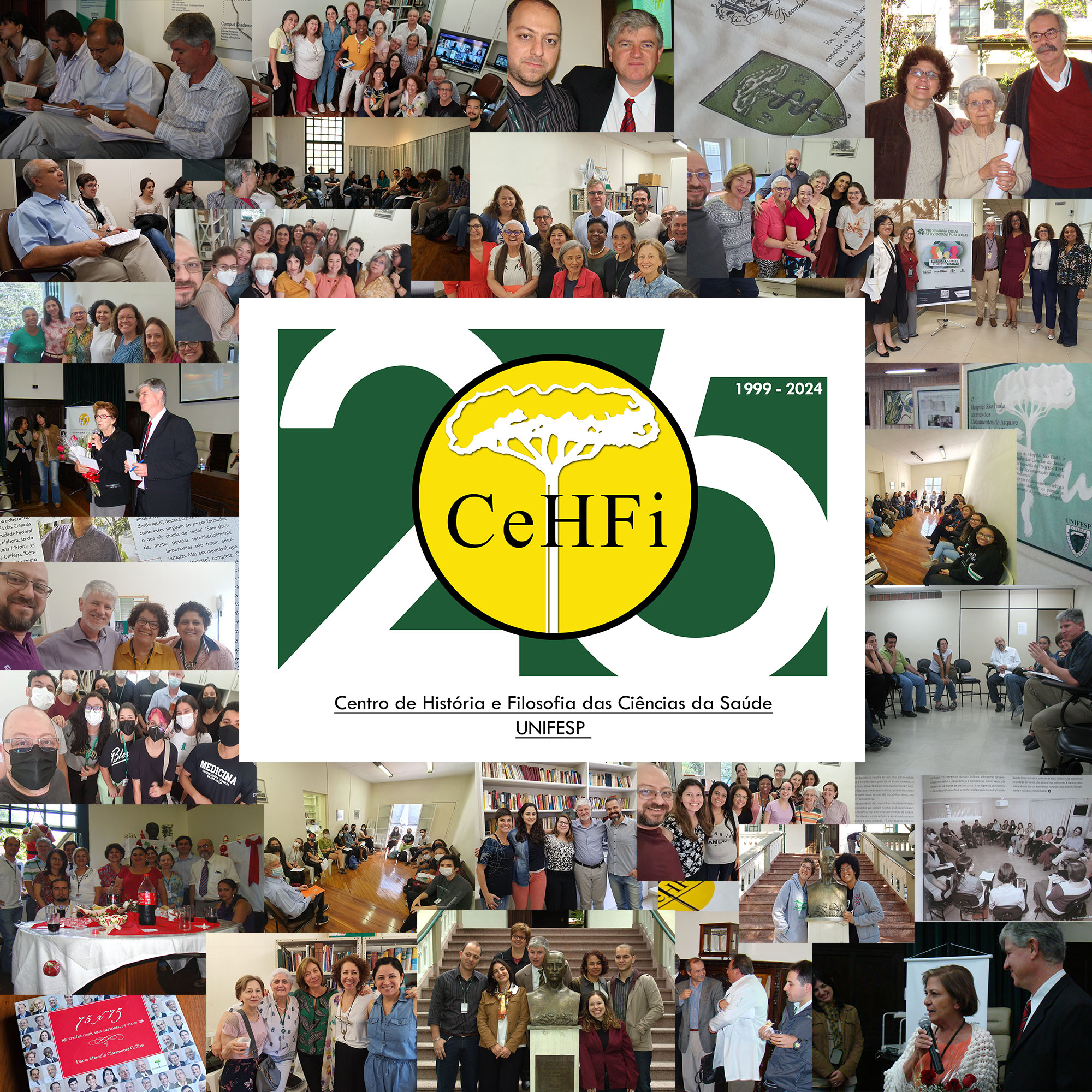 25 anos cehfi painel