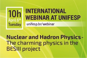 International Webinar at Unifesp: Nuclear and Hadron Physics - The charming physics in the BESIII project