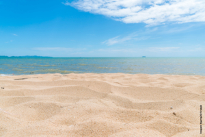  uma praia com dunas de areia em primeiro plano e um oceano calmo sob um céu azul claro ao fundo