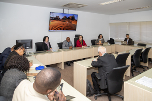 A imagem mostra um grupo de pessoas sentadas ao redor de uma mesa de conferência retangular em uma sala de reuniões. Na cabeceira da mesa estão algumas pessoas que parecem estar liderando a reunião. A sala possui uma tela na parede exibindo a imagem de uma paisagem desértica com montanhas. O cenário parece formal, indicando uma reunião profissional ou acadêmica, possivelmente uma conferência ou sessão de discussão.