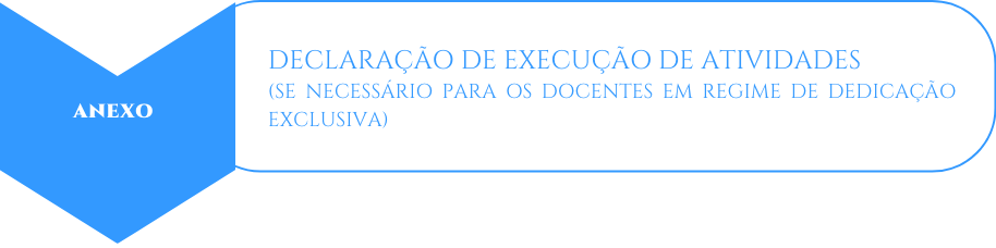 DECLARAÇÃO DE EXECUÇÃO DE ATIVIDADES01